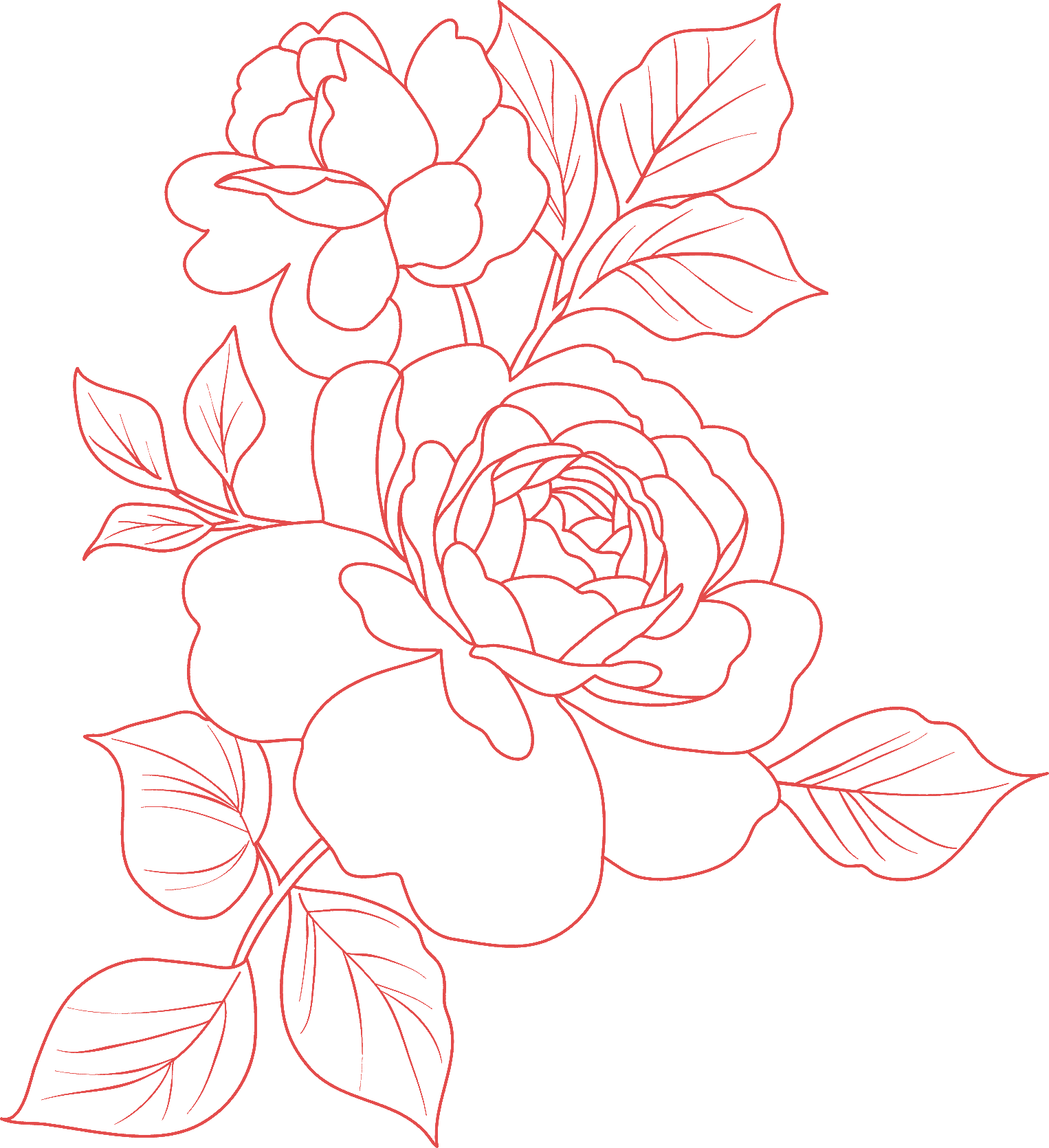 Graphic assets background - Marketing Buddy Template