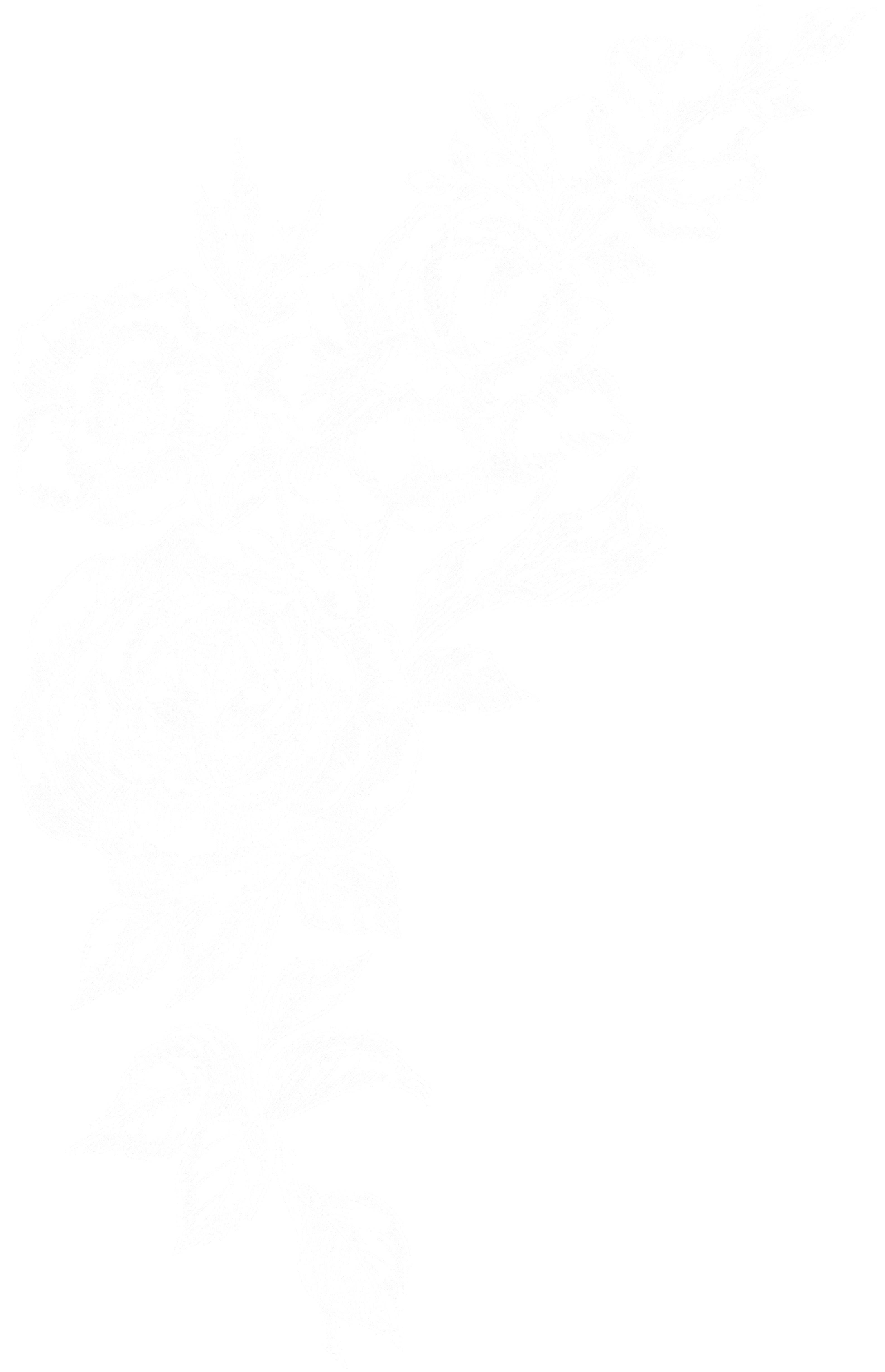 Graphic assets background - Marketing Buddy Template